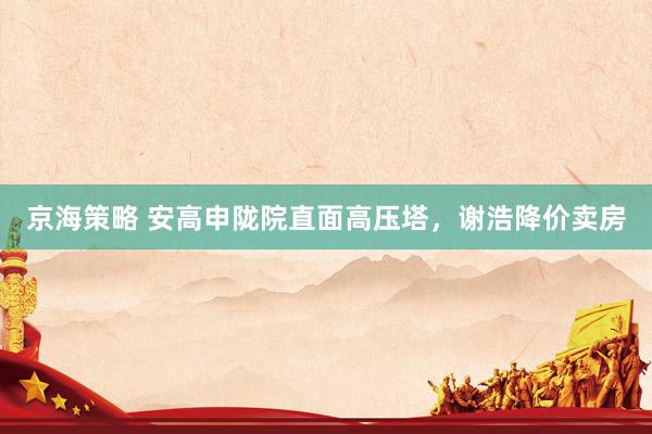 京海策略 安高申陇院直面高压塔，谢浩降价卖房