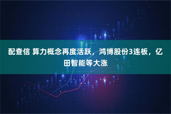 配查信 算力概念再度活跃，鸿博股份3连板，亿田智能等大涨
