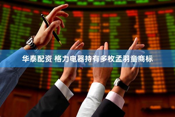 华泰配资 格力电器持有多枚孟羽童商标