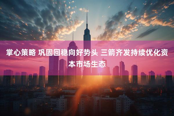 掌心策略 巩固回稳向好势头 三箭齐发持续优化资本市场生态