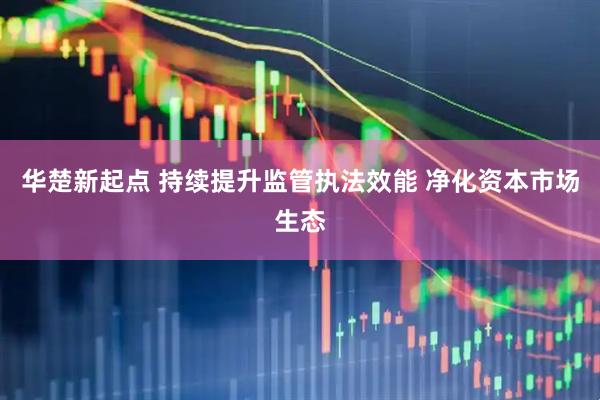 华楚新起点 持续提升监管执法效能 净化资本市场生态